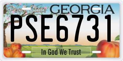 GA license plate PSE6731