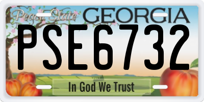 GA license plate PSE6732