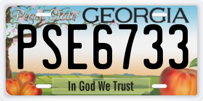 GA license plate PSE6733