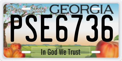 GA license plate PSE6736