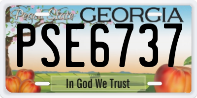 GA license plate PSE6737