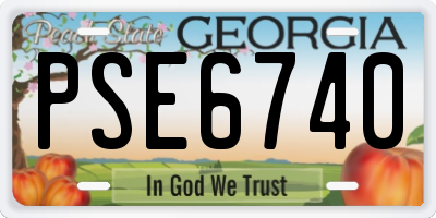 GA license plate PSE6740