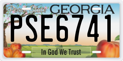 GA license plate PSE6741