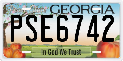 GA license plate PSE6742