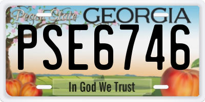 GA license plate PSE6746