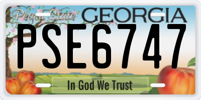 GA license plate PSE6747