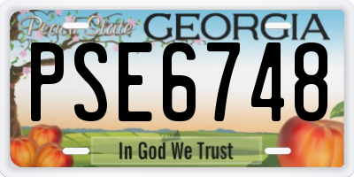 GA license plate PSE6748