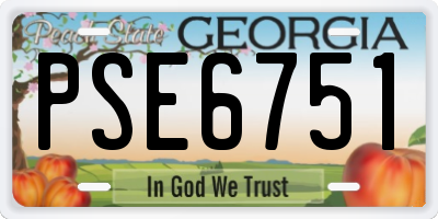 GA license plate PSE6751