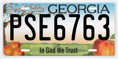 GA license plate PSE6763
