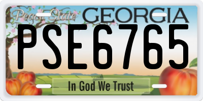 GA license plate PSE6765