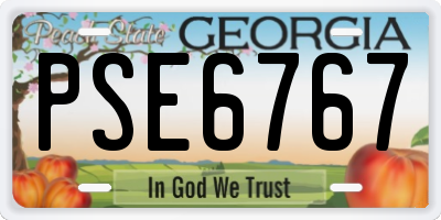 GA license plate PSE6767