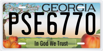 GA license plate PSE6770