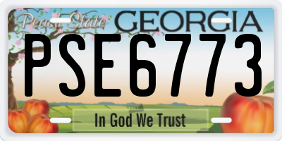 GA license plate PSE6773
