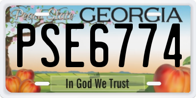 GA license plate PSE6774