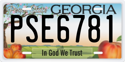 GA license plate PSE6781