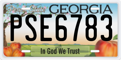 GA license plate PSE6783