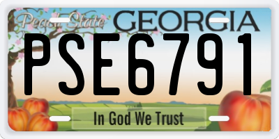 GA license plate PSE6791