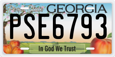 GA license plate PSE6793