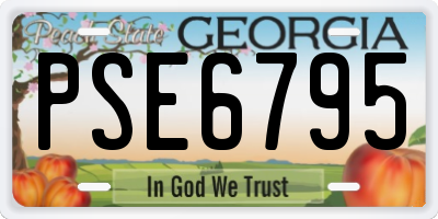 GA license plate PSE6795