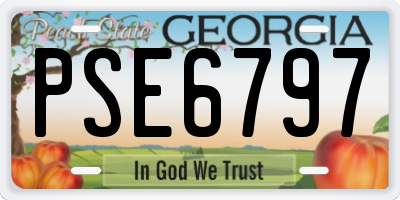 GA license plate PSE6797