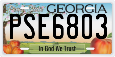 GA license plate PSE6803