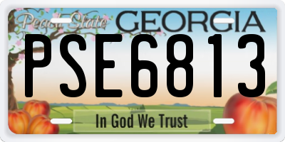 GA license plate PSE6813