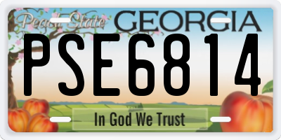 GA license plate PSE6814