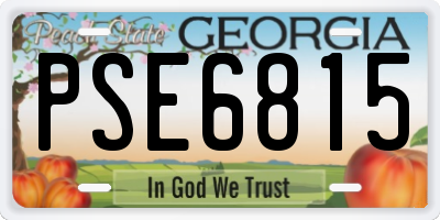 GA license plate PSE6815