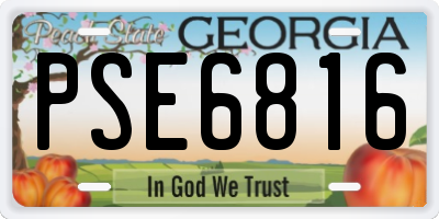 GA license plate PSE6816