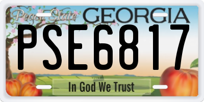 GA license plate PSE6817