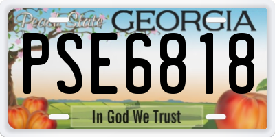 GA license plate PSE6818