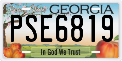 GA license plate PSE6819