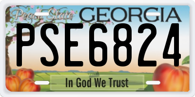 GA license plate PSE6824