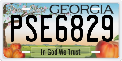 GA license plate PSE6829