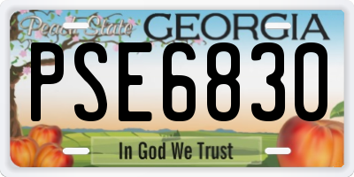 GA license plate PSE6830