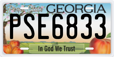 GA license plate PSE6833