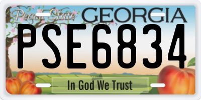 GA license plate PSE6834