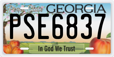 GA license plate PSE6837