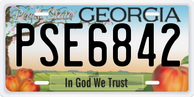 GA license plate PSE6842