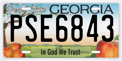 GA license plate PSE6843