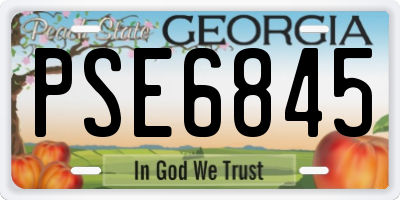 GA license plate PSE6845