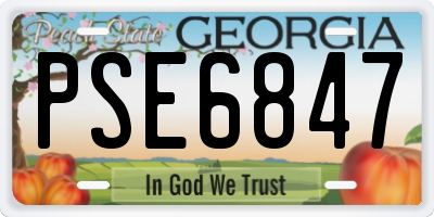 GA license plate PSE6847