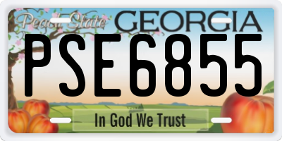 GA license plate PSE6855