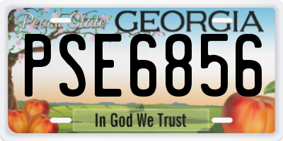 GA license plate PSE6856
