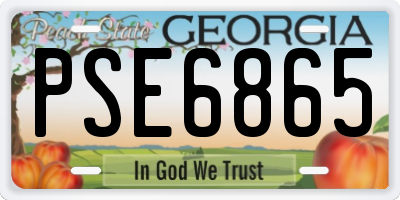 GA license plate PSE6865