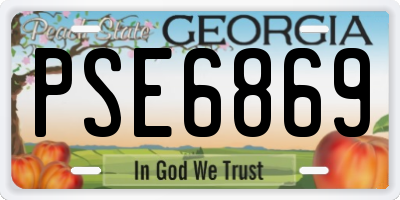 GA license plate PSE6869