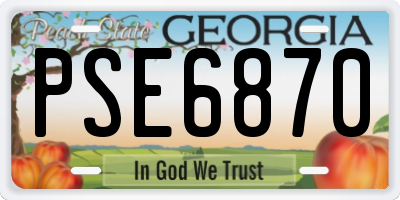 GA license plate PSE6870