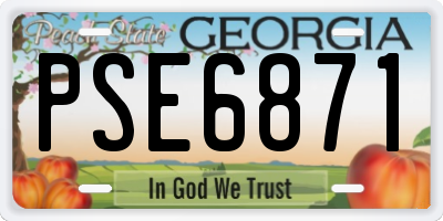 GA license plate PSE6871