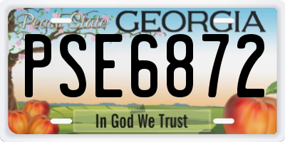 GA license plate PSE6872