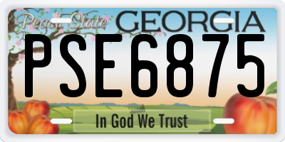 GA license plate PSE6875